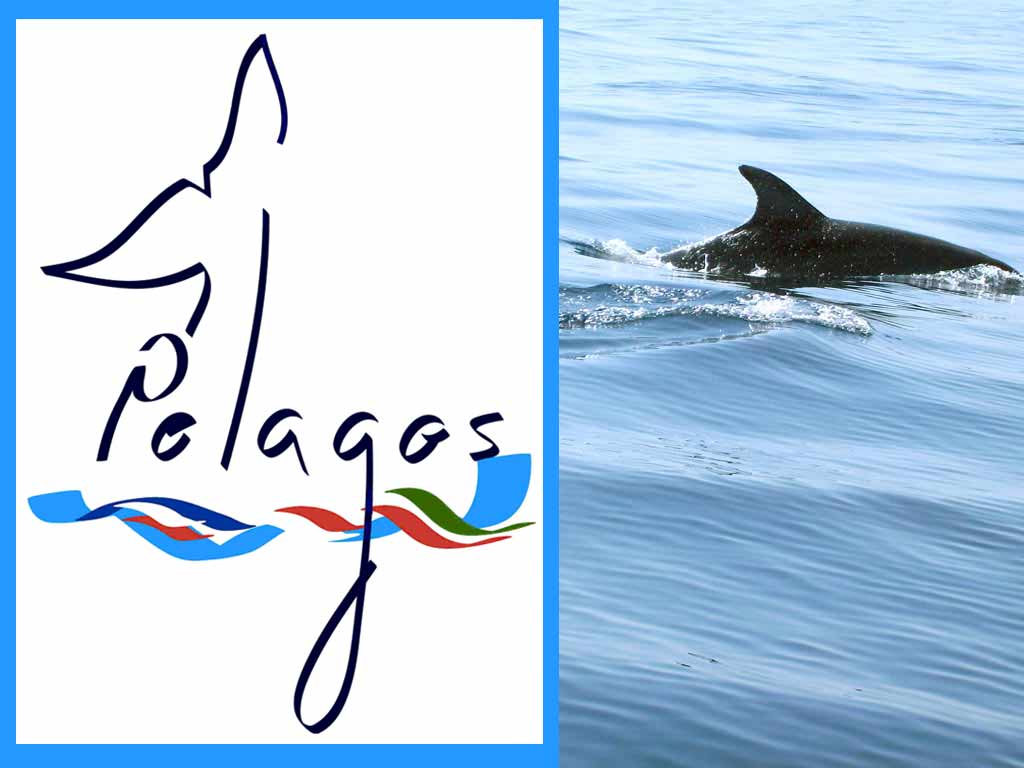 Pelagos